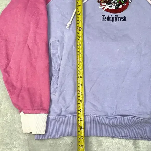 Teddy Fresh x Looney Tunes Colorblock Hoodie Size M Embroidered Graphic Fleece - Picture 7 of 8